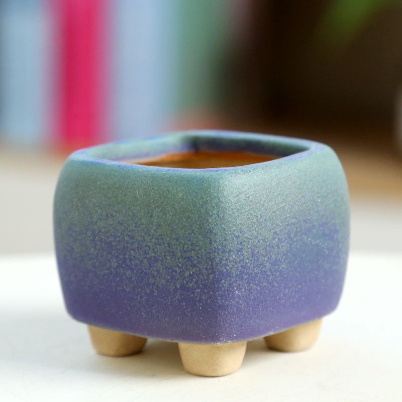 Training Pot Ceramic - Mini pot de fleurs charnu en