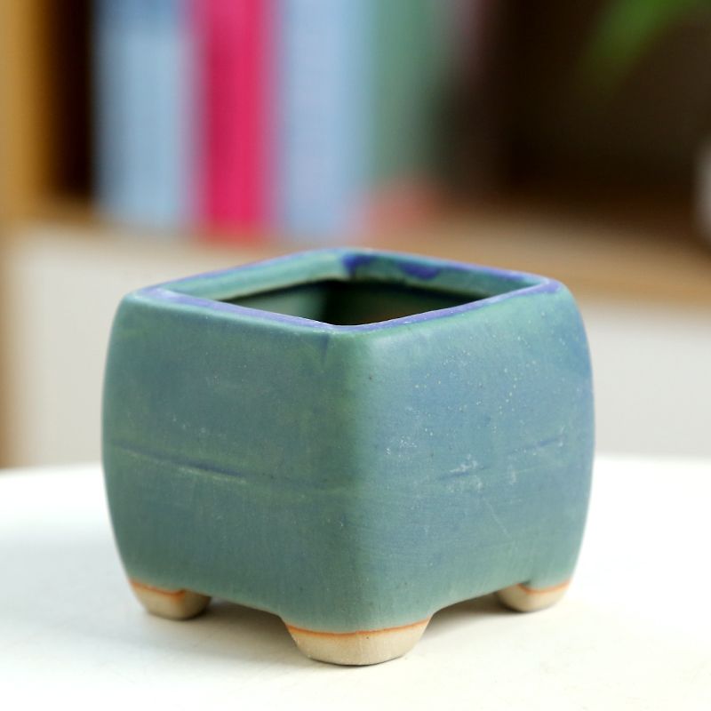 Mini pot de fleurs charnu en c - Training Pot Ceramic avis et prix