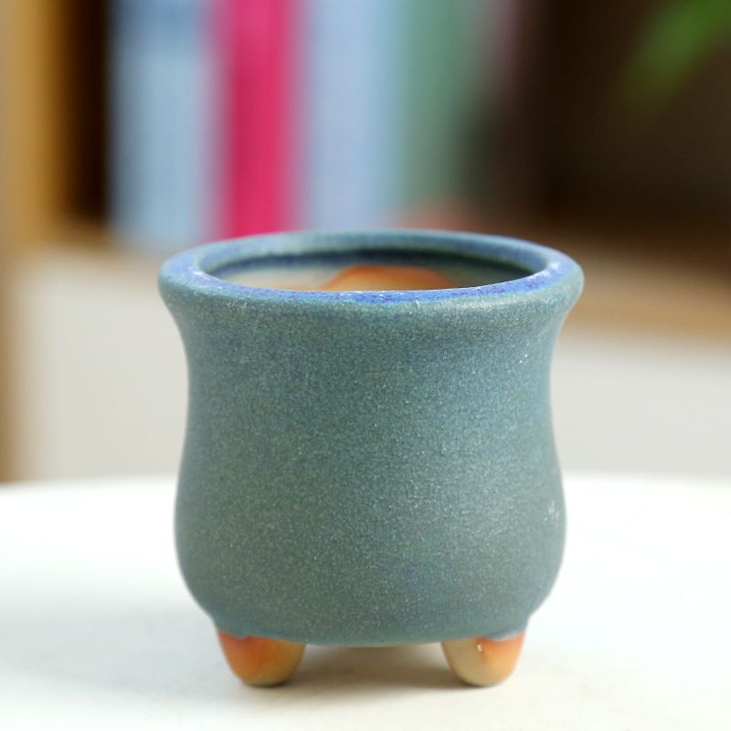 Mini pot de fleurs charnu en c - Training Pot Ceramic avis et prix