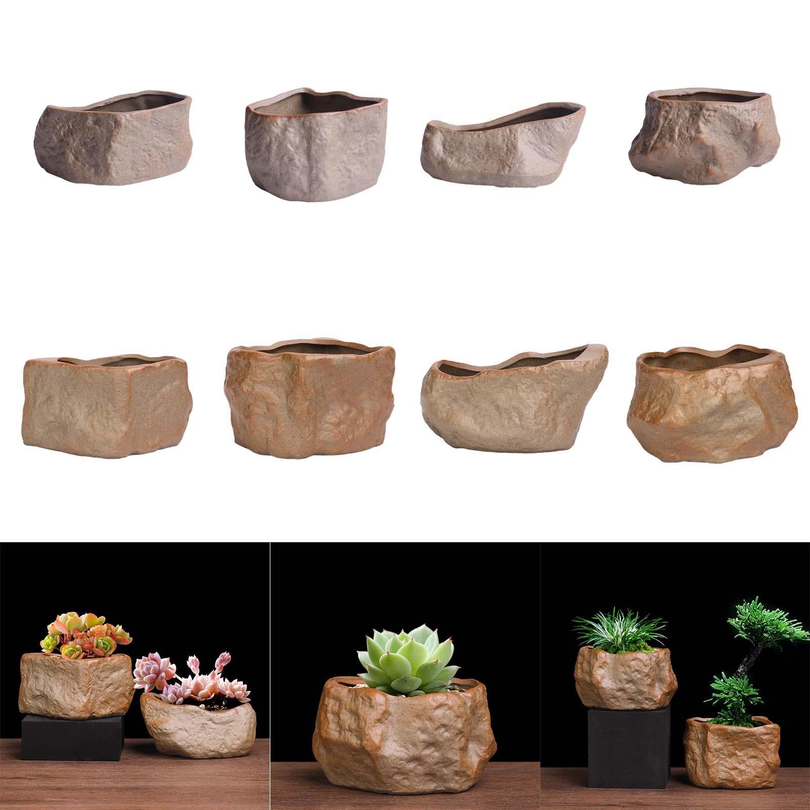 Pot succulent en céramique en  - Training Pot Ceramic avis et prix