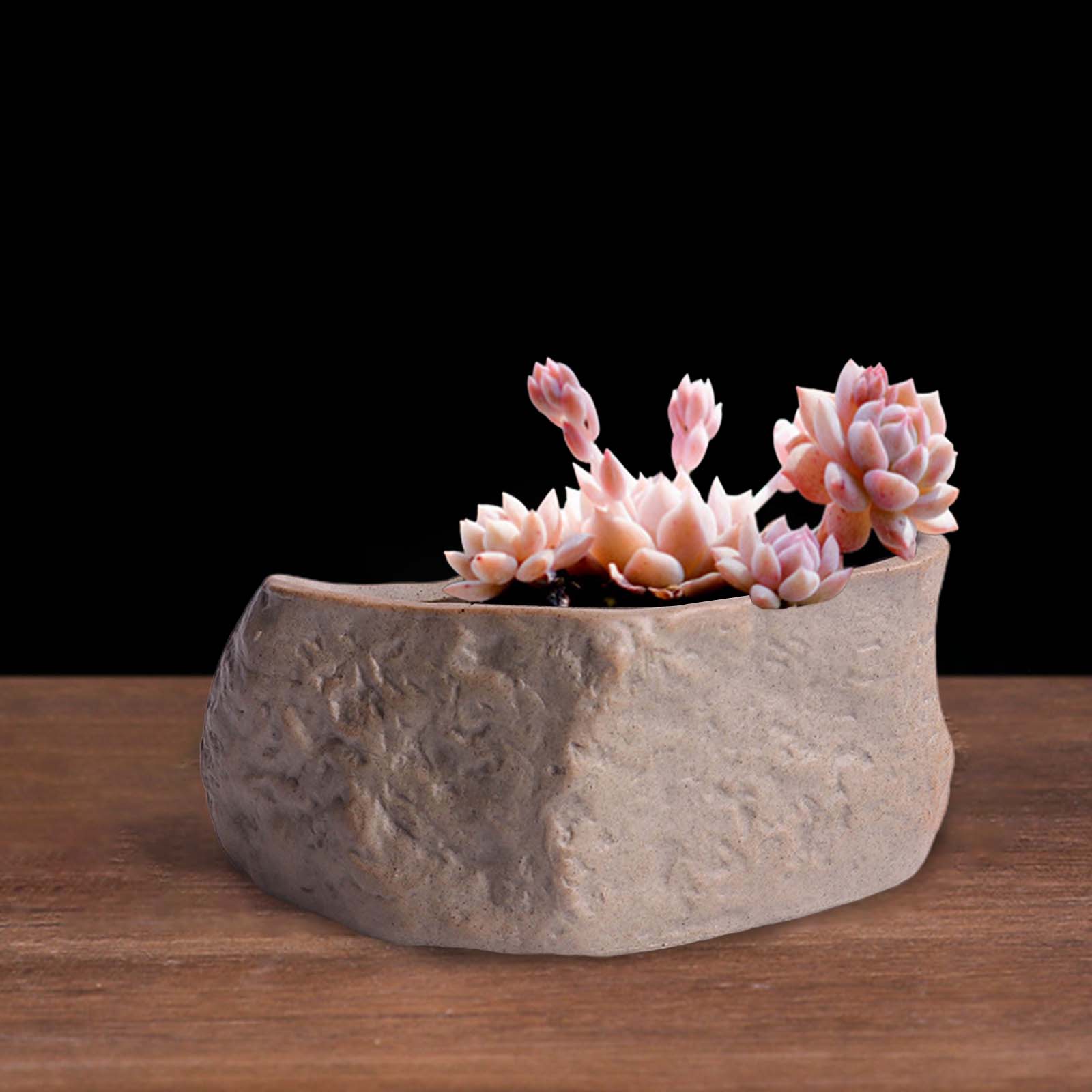 Pot succulent en céramique en  - Training Pot Ceramic avis et prix