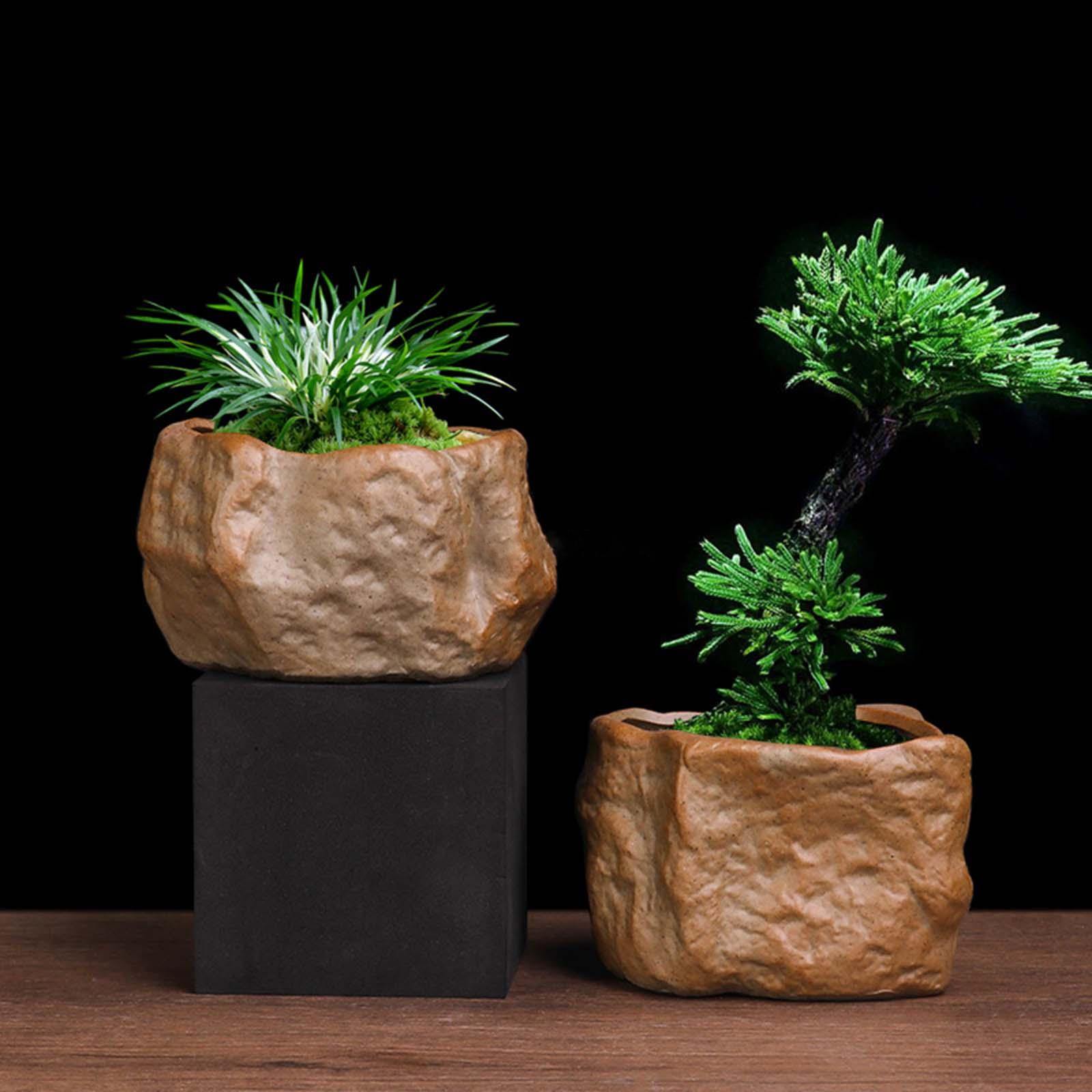 Pot succulent en céramique en  - Training Pot Ceramic avis et prix